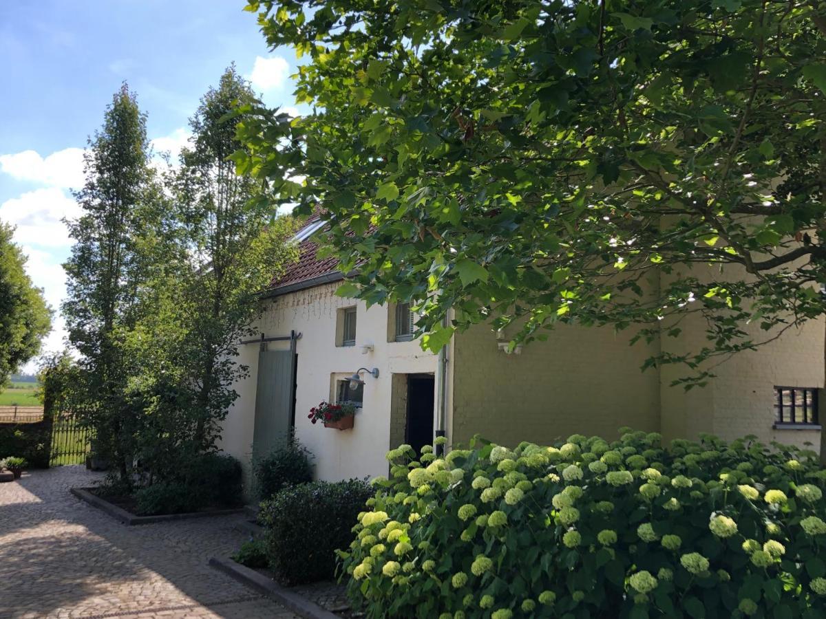 Welness Gastenverblijf Carpe Diem Opglabbeek Exterior foto